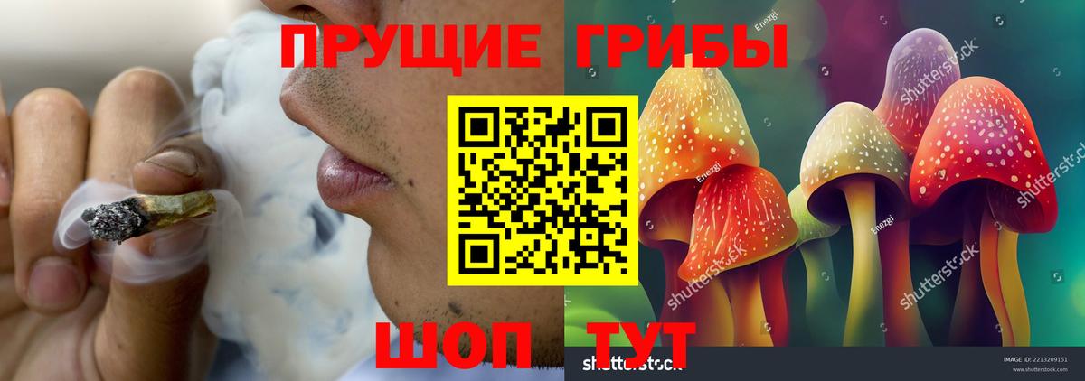 Псилоцибиновые грибы Cubensis  Псилоцибиновые грибы Cubensis  Вход с VPN  Корсаков 